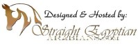 Design & Hosting by StraightEgyptianArabians.com